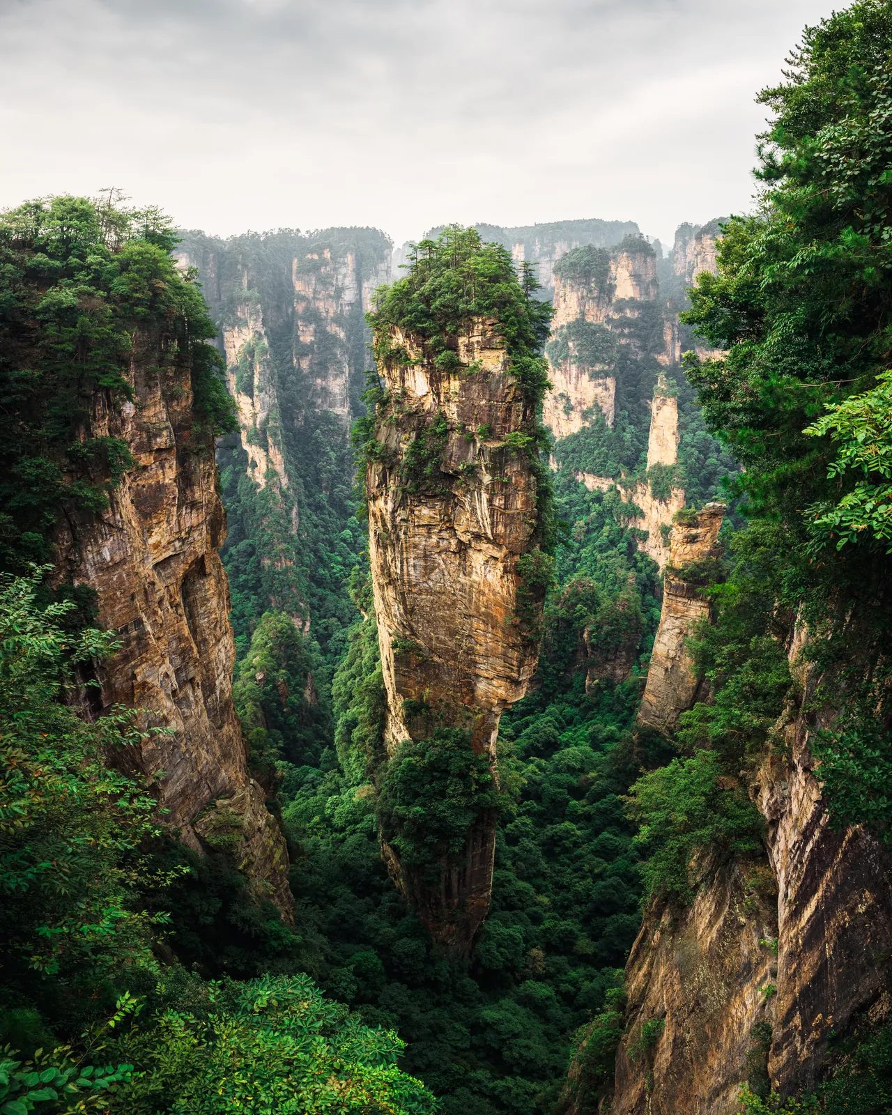 Sandstone pillars rising out of a forested gorge